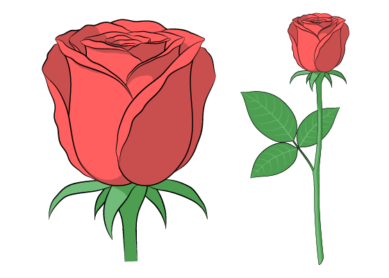 How To Draw Easy Rose Drawings For 9 Years Olds